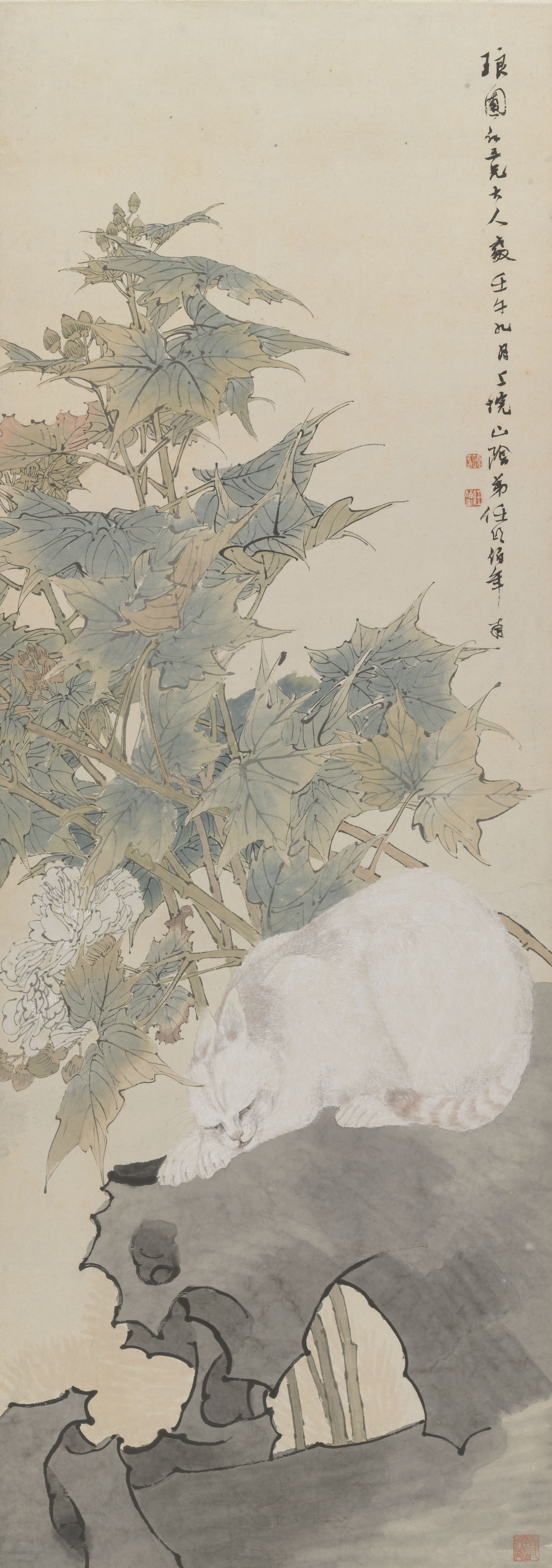 《芙蓉白猫图轴》