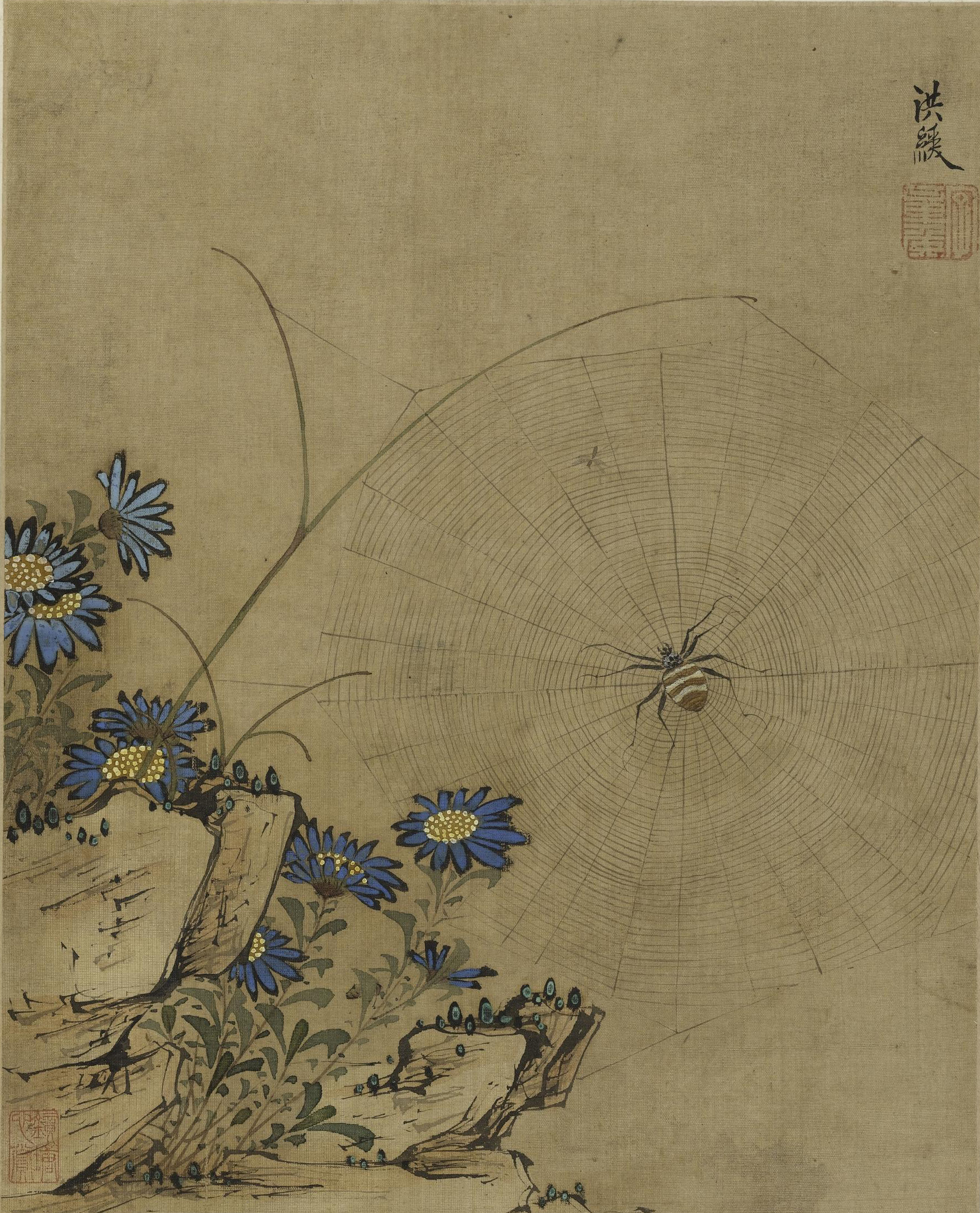册页一 蓝菊蜘蛛图