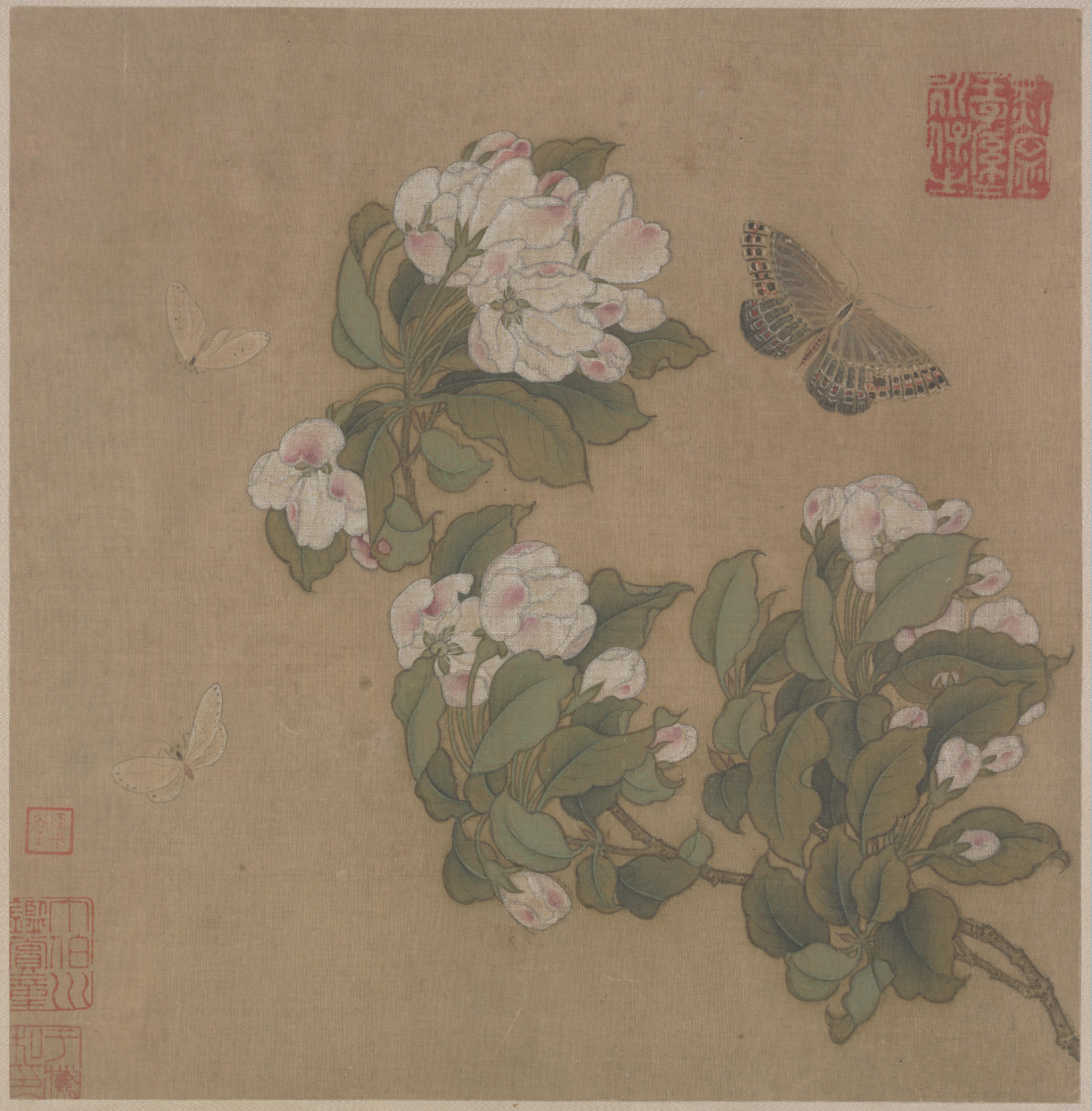 《海棠蛱蝶图》页