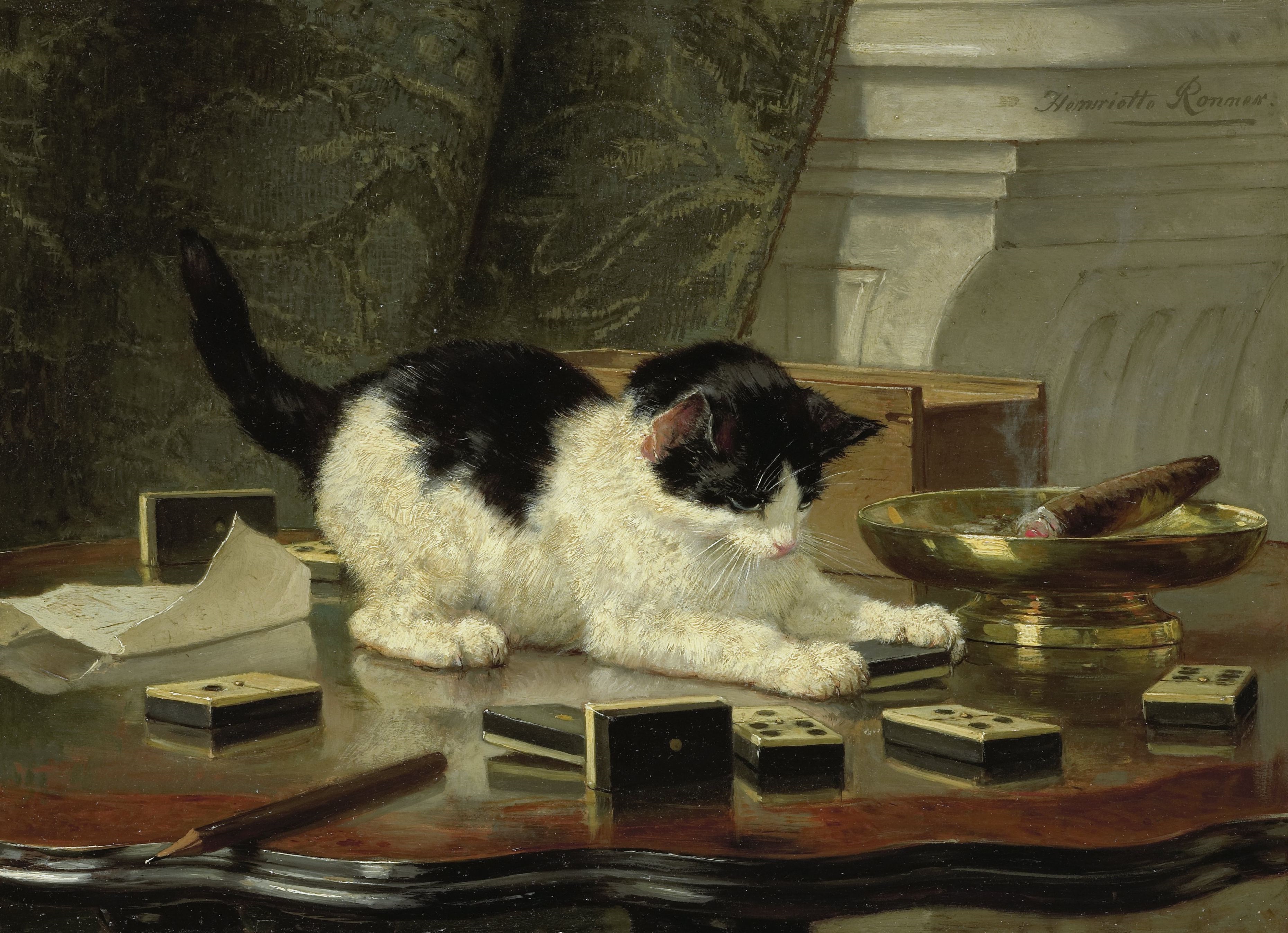 《猫》