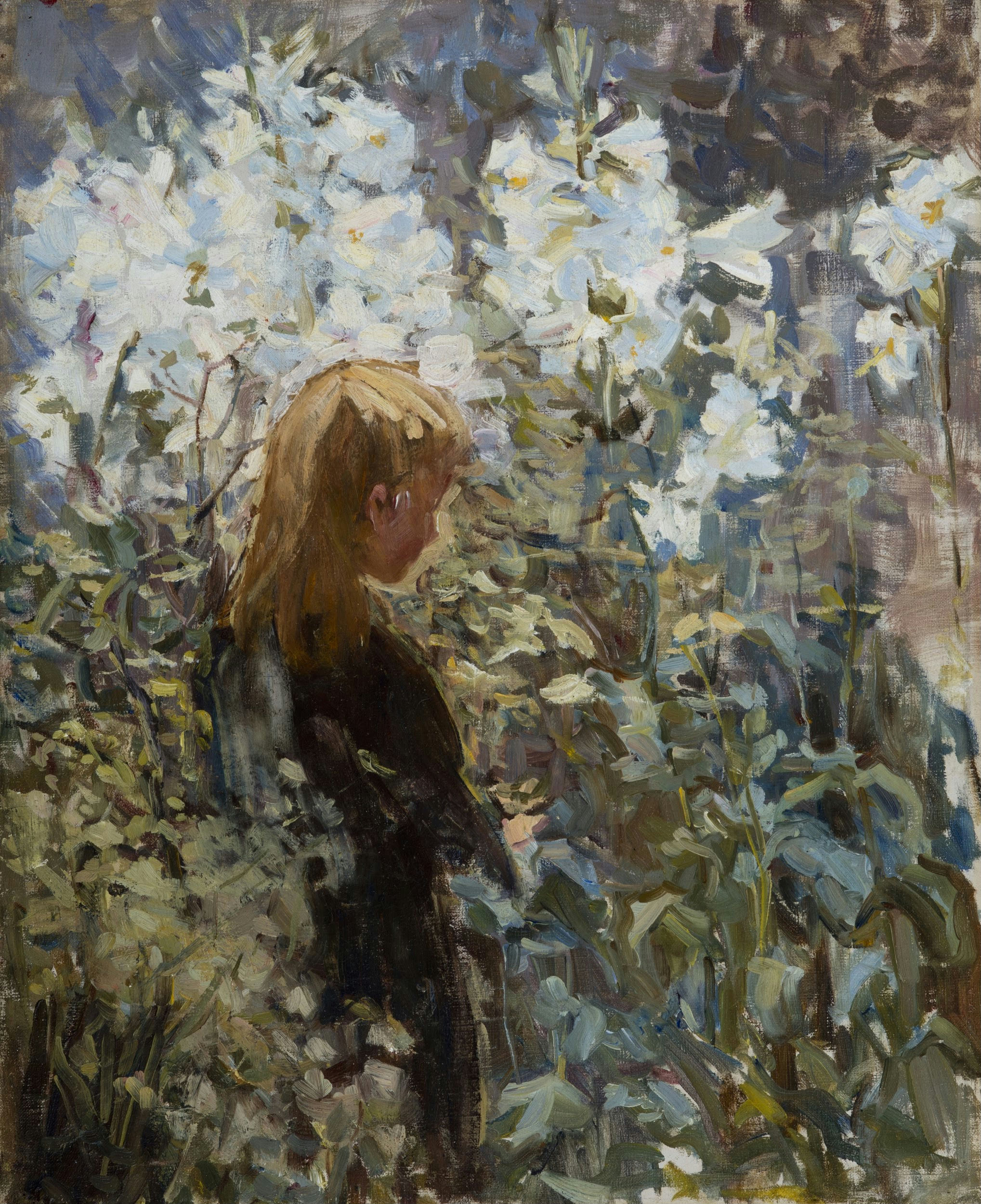 《复活节百合》