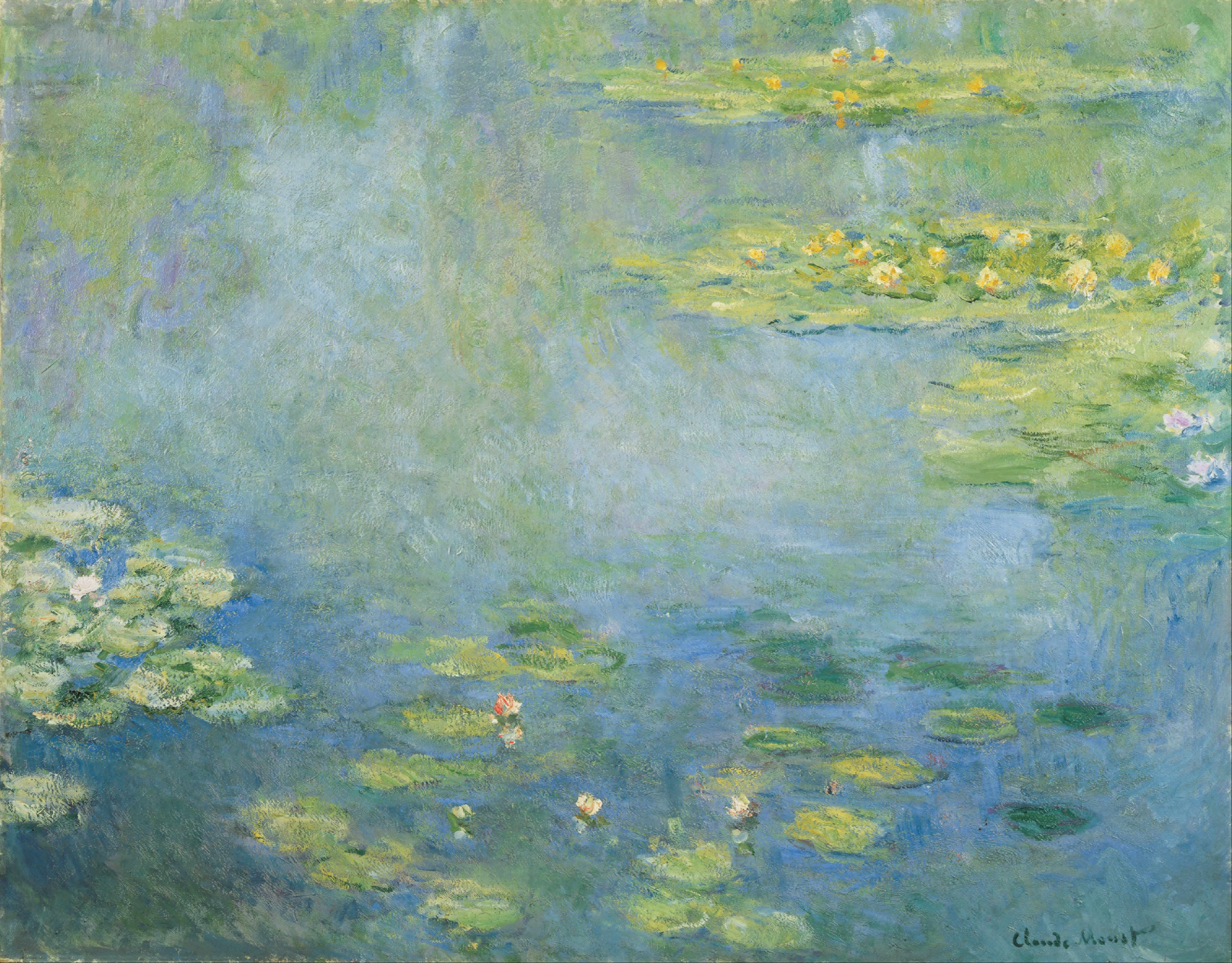 《睡莲（Waterlilies）》
