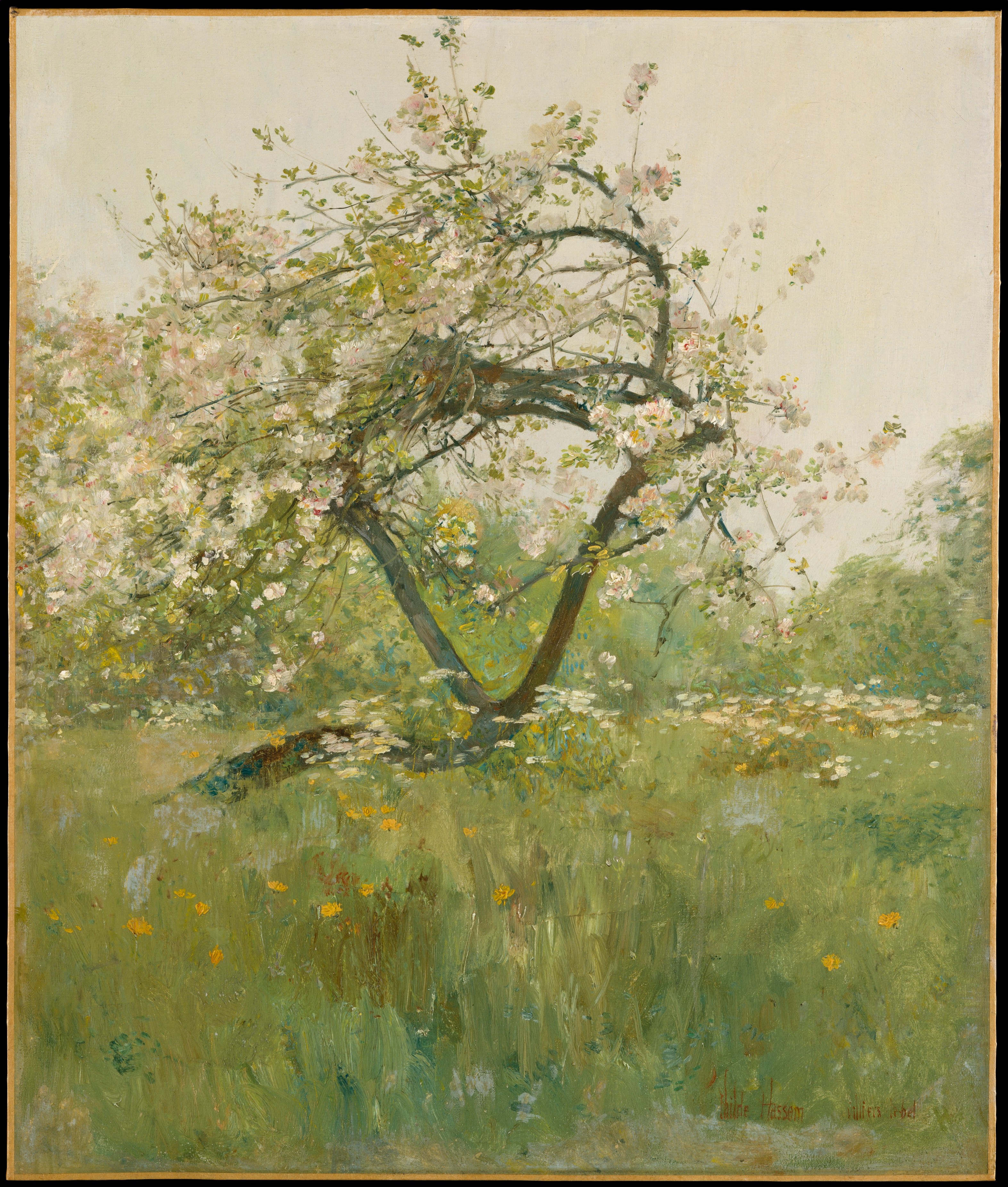 《桃花》