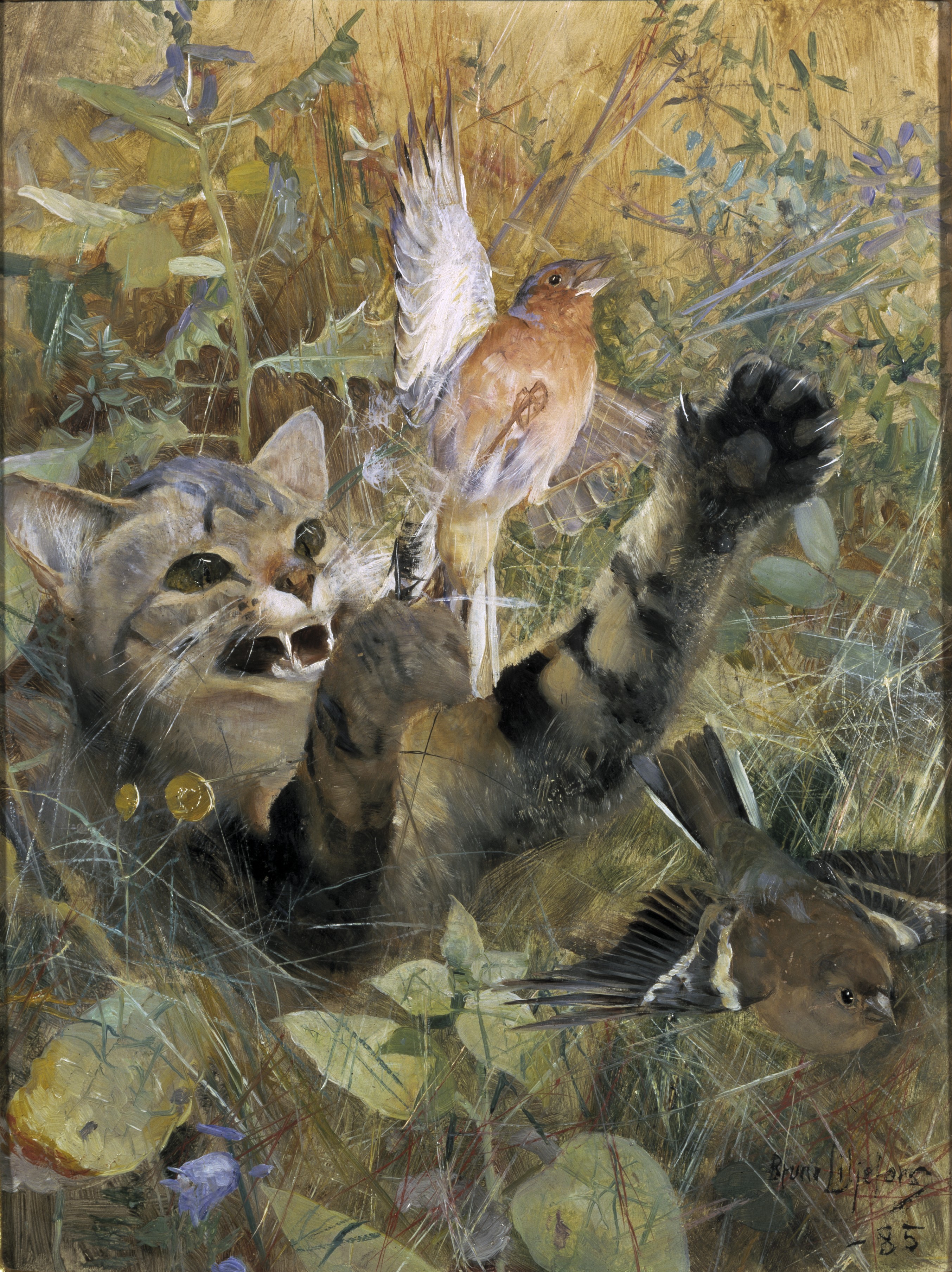 《猫和燕雀》