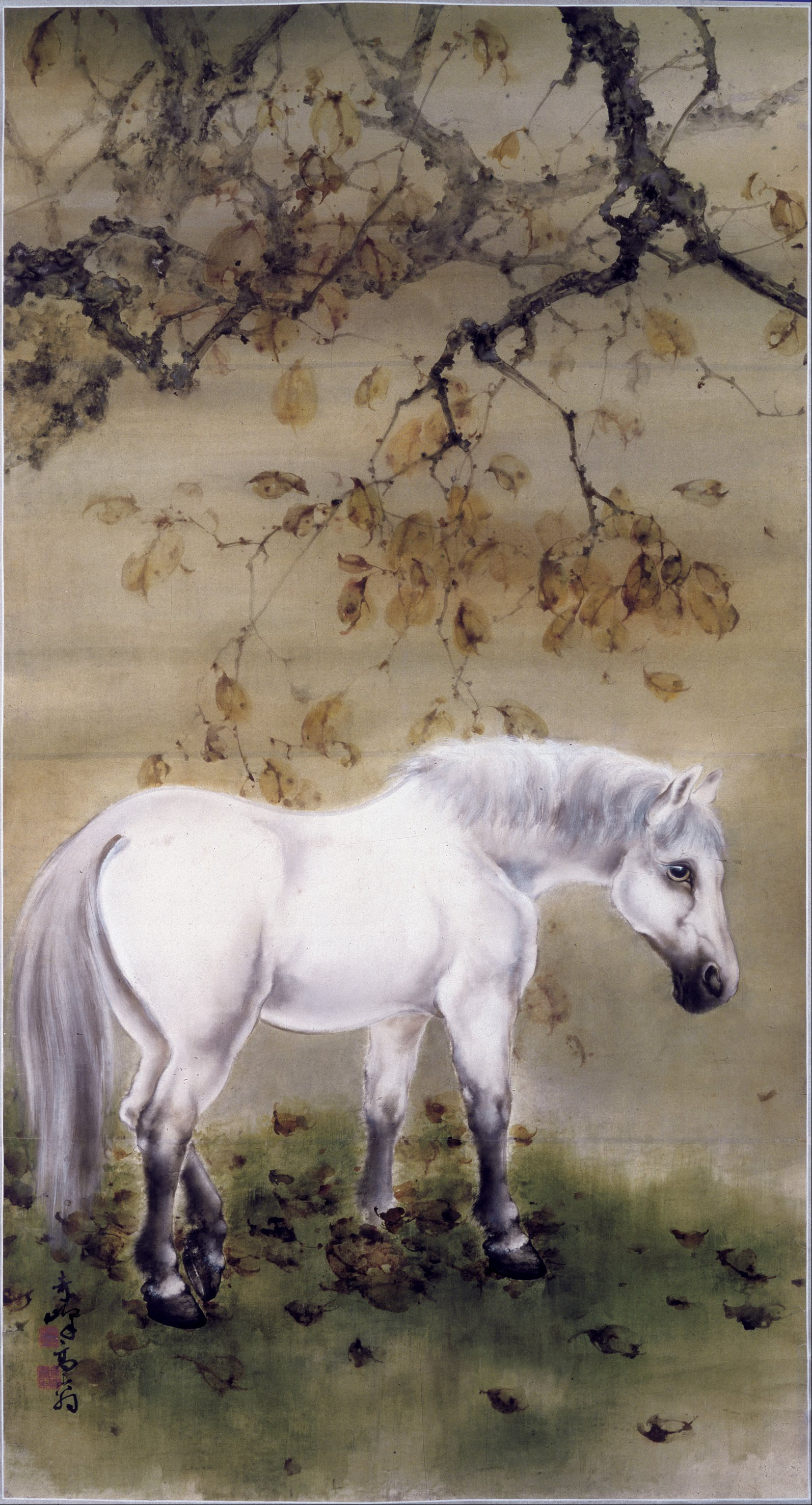 《白马（White horse）》